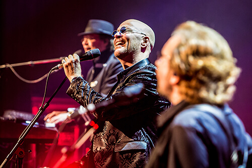 Night Fever - Bee Gees Tribute